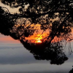 Meet your Posher, Garnik